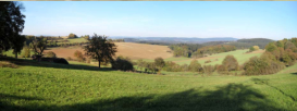 Landschaft bei Wachenbrunn