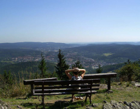 Blick vom Ruppberg auf Zella-Mehlis