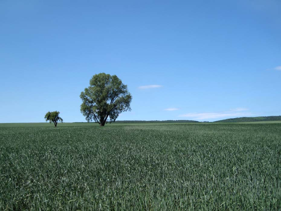 Zwischen Berkach und Schwickershausen