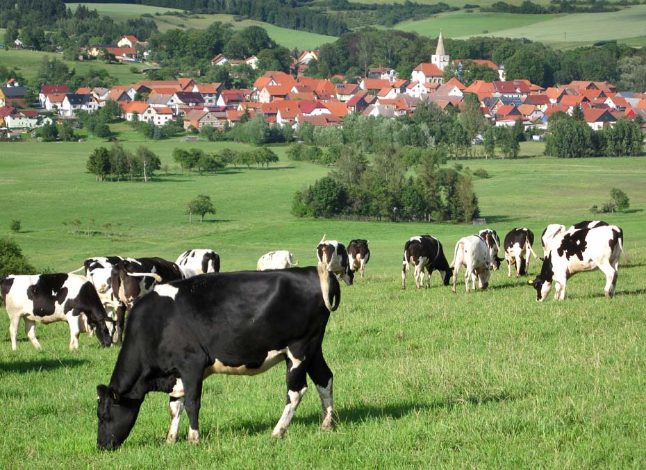 Blick auf Marisfeld