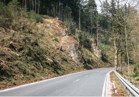 Im Kanzlersgrund kurz vor Oberschnau