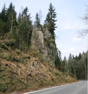 Im Kanzlersgrund kurz vor Oberschnau