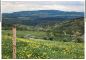 Aussicht in Metzels Richtung Rhn